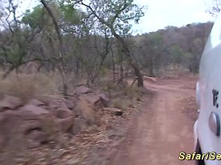 real african safari sex trip