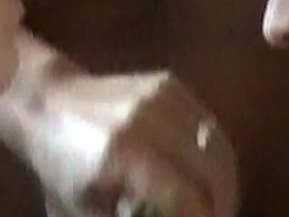 Already Banged Today