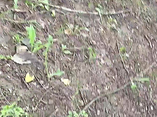 My Private Public Toilette