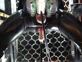 Automated Perversions Compilation