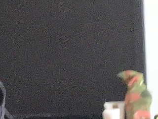 Foreplay and Solo with the Modern Slut