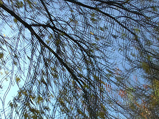 Street Fucker Wild Couch Poundings