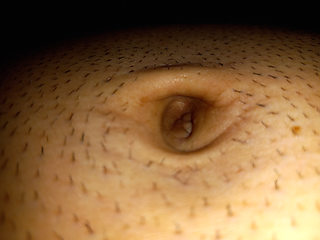 Navel fingering with q tip stick