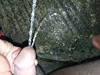 Desi Bhabhi Sucked the Dick After Peeing