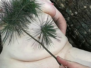 Tit Training and Whipping in the Woods