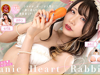 Mei in Panic Heart Rabbit in Sorry For Being Too Cute! - FANTASTICA