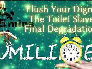 Shamestream: Flush Your Dignity - the Toilet Slave’s Final Degradation