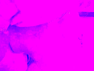 Had to Put Her to the Test