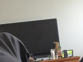 Foreplay and Solo with the Modern Slut