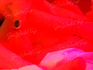 Sexworldtrip - Amateur Hot Latina in Red Light Hotel Room, Real Homemade Sucking & Fucking