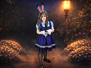 Officer's Discretion