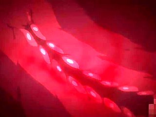 Tender Night in the memory_21052803p0