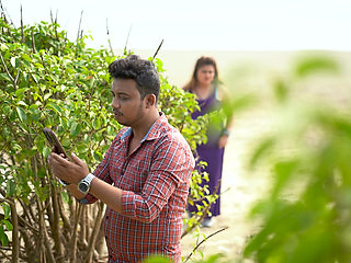 Student has hardcore sex with  indian teacher at the beach