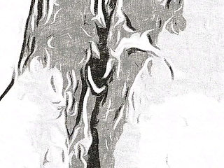 Granny Creampie Pussy