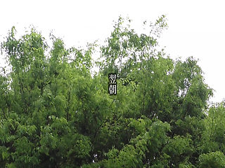 A082G04 The wife next door who passed by made a mistake in the room...! with too much momentum! Morning SEX the next morning!