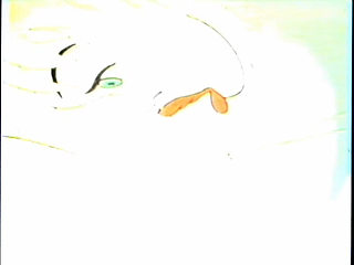 Sexual Adventures in Cartoons