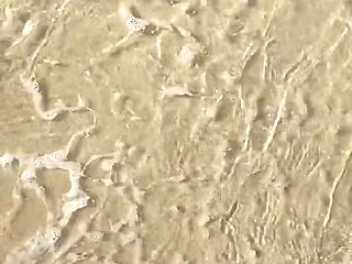 I Love the Sea and the Sun