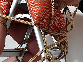 A Woman's Nude Body Fused with a Stepladder