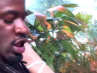 Tattooed sweetie takes a long black dick in her mouth and pussy