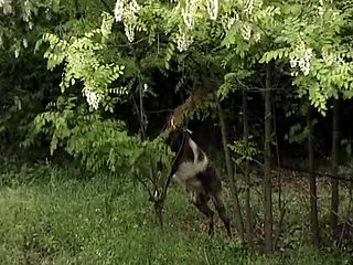 Blonde Pussy Licking Lesbians From Germany Having Fun Outdoor