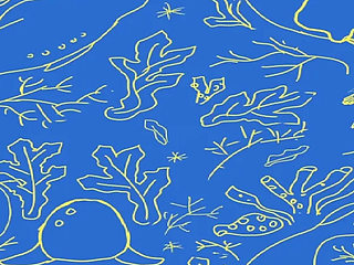 The Selkie (part 5)