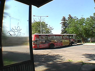 Bus Stop Encounter