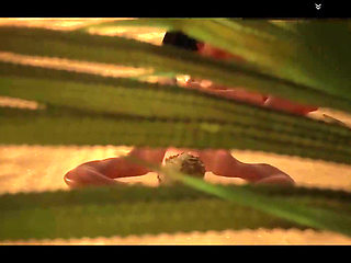 Wild Life Animation Collection Sex Game Play straight 04 Nude Game Play 18+
