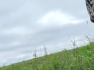 Big Compilation of Foot Fetish Cumshots for BBW Mistress