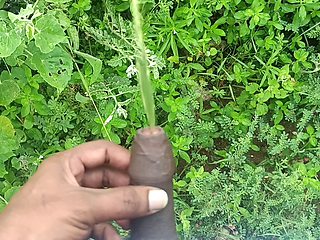 Peeing in a  Field