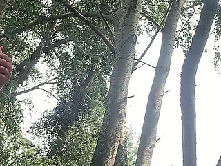 Flashing You in the Woods