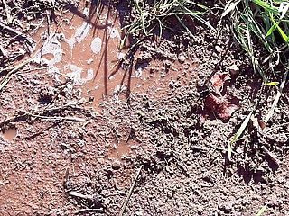 Pissing Pussy in Cold Weather Outside