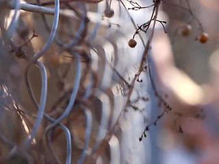 0005440_JAV_JapaneseAV_Censored_MGS_19min