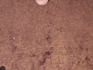 The record for the longest wank