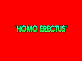 Homo erectus (full movie)
