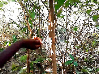 My Great romance