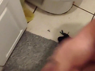 Cumming in the Bathroom