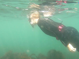 Open Water Freedive Ultra Long Fins, Wetsuit & Snorkel Gear