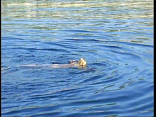 The Ass Factor Vol.2 (Full Movie)