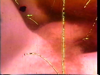 Arcadia Lake and Eric Edwards Each Other