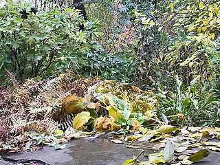 Mature Ukrainian MILF Pissing Doggystyle Outdoor - Hot Amateur Public Pee