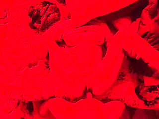 Bangladeshi New Model Have Been First Time Sex For Selection New Models Desi Model XXX