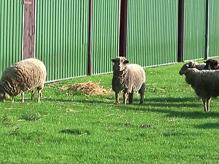 German big boobs GilfMilf