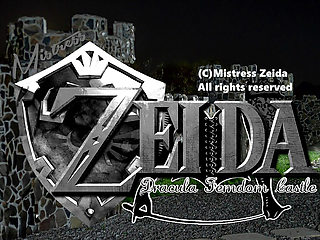 Ballbusting initialization - head in the toilet box - Zeida BDSM Queen of Transylvania