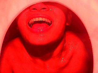 A New Human Toilet with Private Flush V 08/12/2023