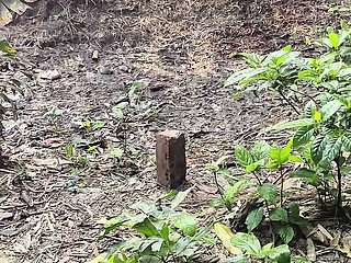 Silent beauty of my garden