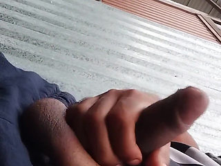 Cum Street Milking Day