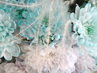 Bouquet of Flowers