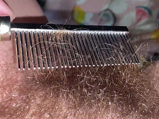 Brushing My Bush