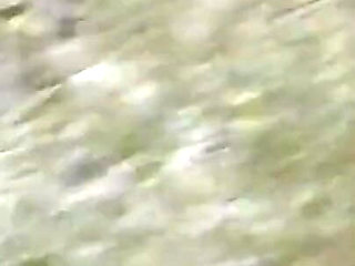 Having Fun in Public