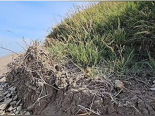 Tormented Path To The Nudist Beach